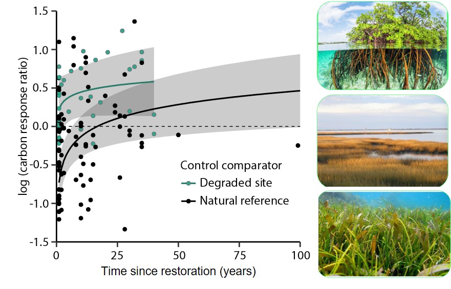 Check out our new paper on impacts of land management practices on blue carbon stocks and greenhouse gas fluxes in coastal ecosystems in GCB! <a href="/globalwetlands/">Global Wetlands Project</a> <a href="/MangroveProject/">Mangrove Action Project</a> <a href="/Mangroves/">Global Mangrove Alliance</a> doi.org/10.1111/gcb.14…
