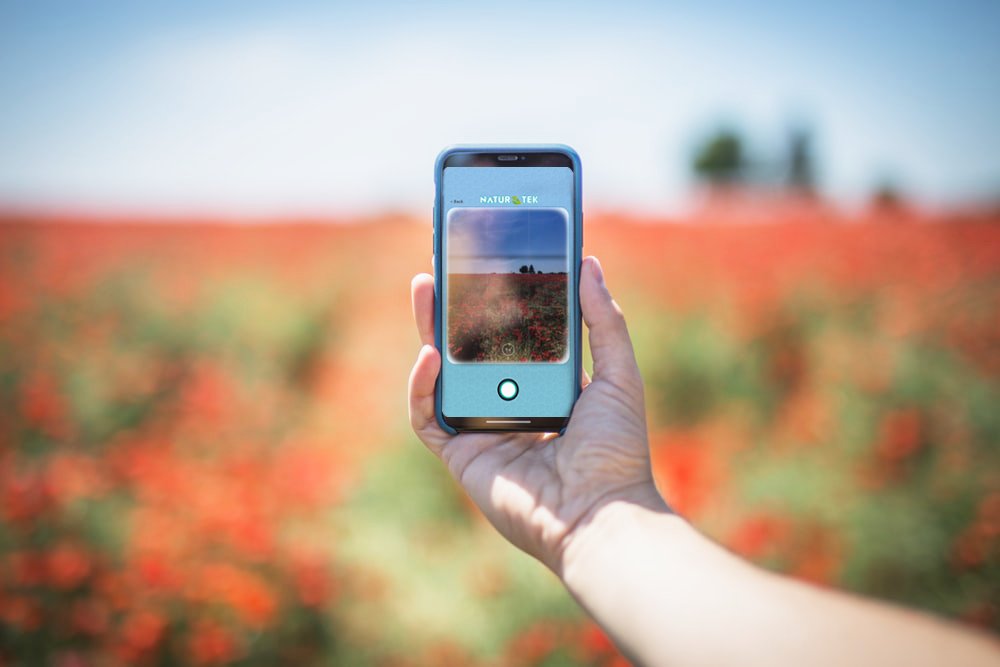 cain_sydney's tweet photo. Nature-TEK – A UX design case study of an app for nature lovers https://t.co/qUtRpHcNaR https://t.co/ZHUOPJvxuN