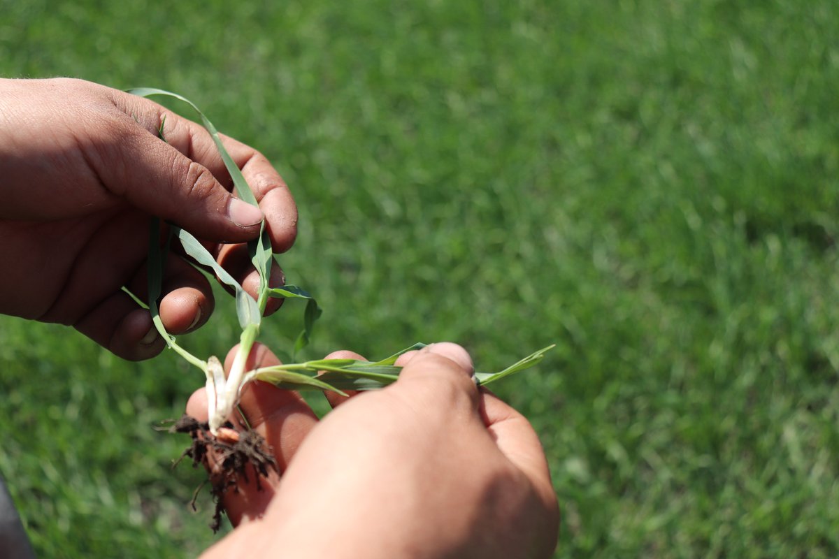 Countdown to #CropConnect20 - 64 DAYS!

View the agenda here: cropconnectconference.ca/event/agenda-s…

Register here: cropconnectconference.ca/event/registra…