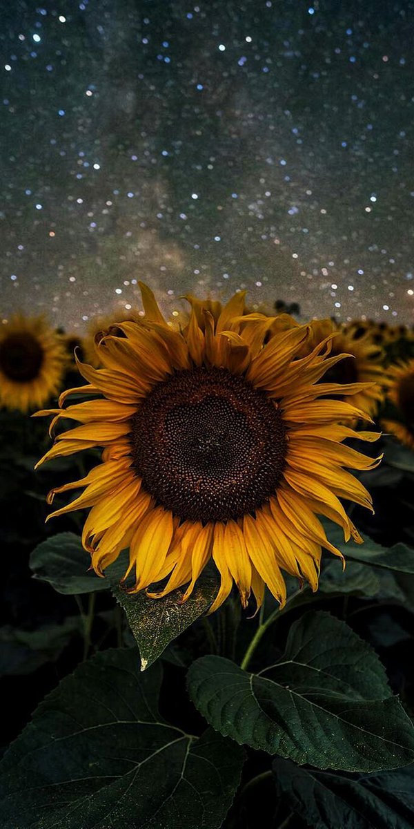 breatheless_'s tweet photo. You are not alone https://t.co/85EBaShsNK