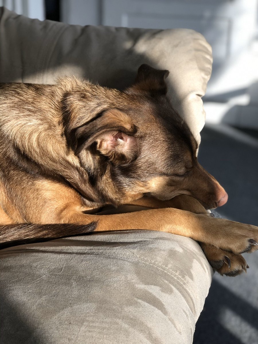 darilynkuryk's tweet photo. shleepy baby guhl https://t.co/gyQnYnrFjG