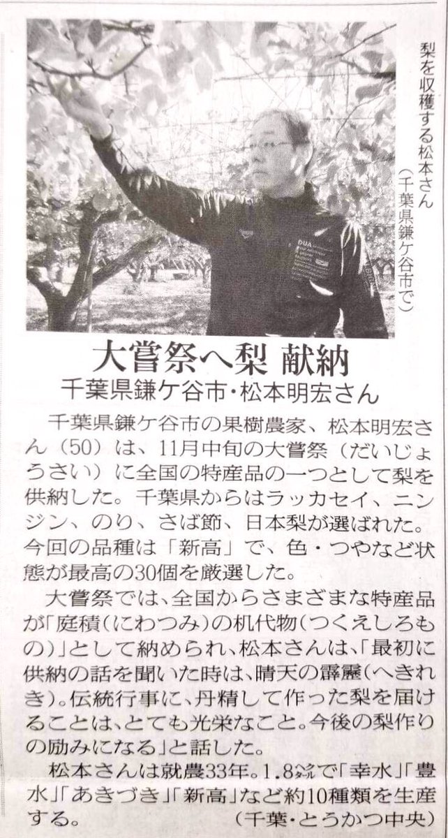 nashiyasan's tweet photo. 常日頃からお世話になっている、隣市鎌ケ谷の先輩が先の大嘗祭に梨を献納いたしました。
メディアでの掲載が丁度ご家族の不幸と重なってしまったため控えておりましたが、あらためて情報発信とお祝いまで。おめでとうございます！ https://t.co/AghHqMyKts