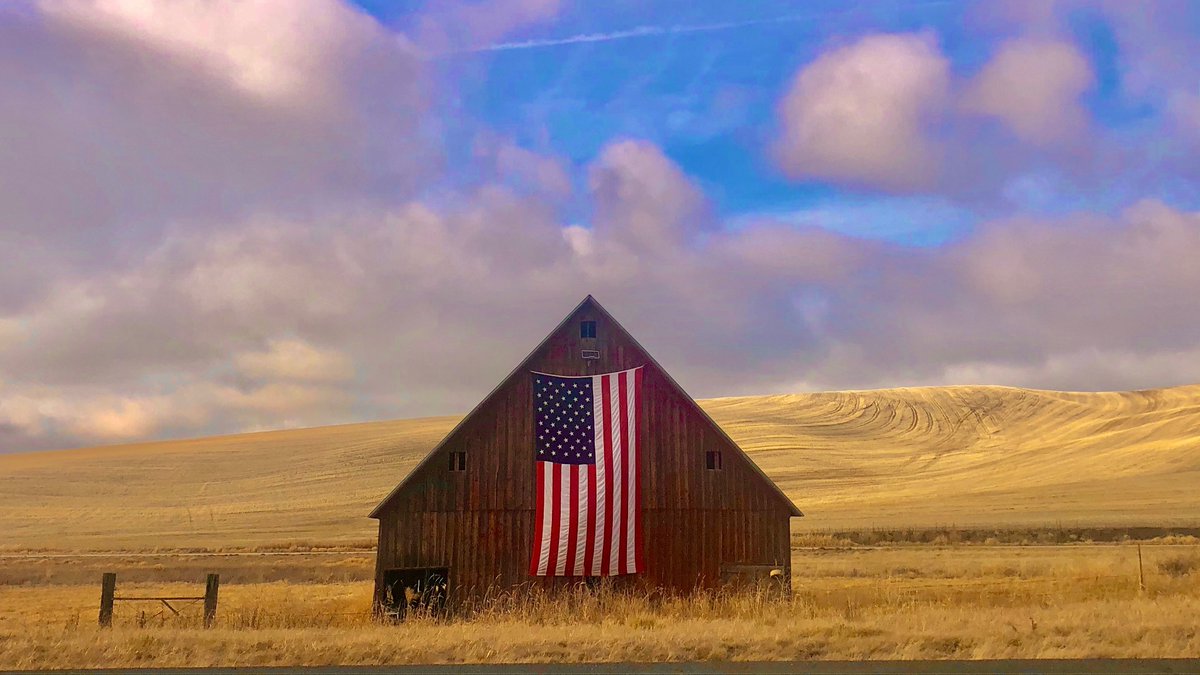 FE_TravisGreene's tweet photo. In three business days @farmers_edge I’ve been in eight states and three time zones but this is the coolest thing I’ve seen. https://t.co/LBmoobhUzD