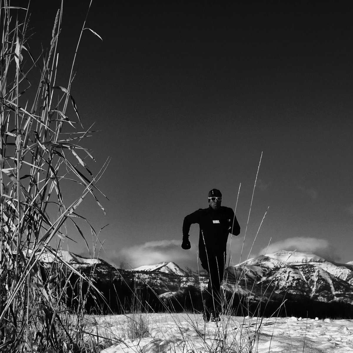 BornToRunCoach's tweet photo. Self discovery destroys the perfect, the norm, and enables the impossible.
#thecoolimpossible
#backyardtour
#becoolinwool @ashmei https://t.co/bup93byInZ