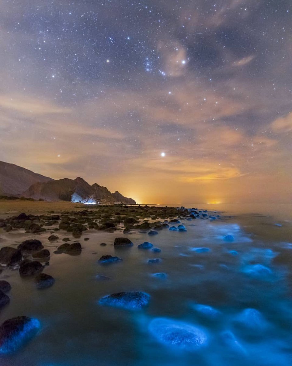 A bioluminescent shoreline in the Persian Gulf.
