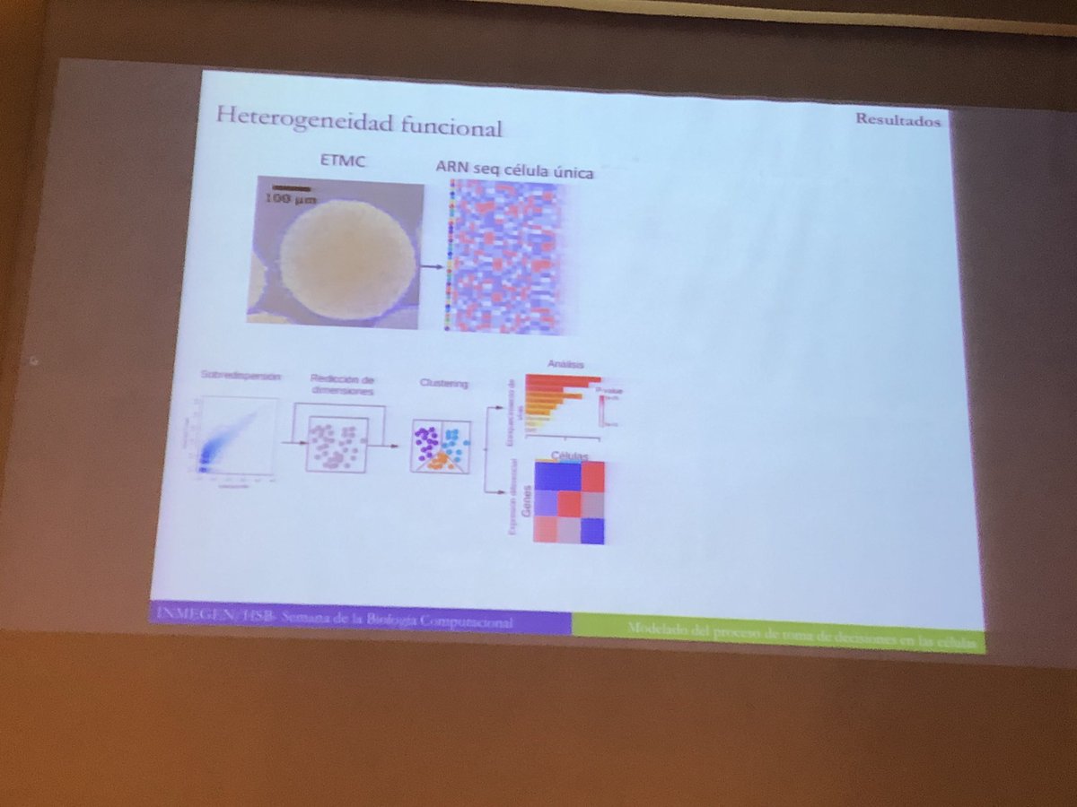 Iehchel's tweet photo. Aarón Vásquez presenta su trabajo sobre toma de decisiones celulares en cáncer en la Semana de la Biología Computacional en el @INMEGEN 

#SemanaBioComp
#CompBioFest https://t.co/hiCX25DDP4