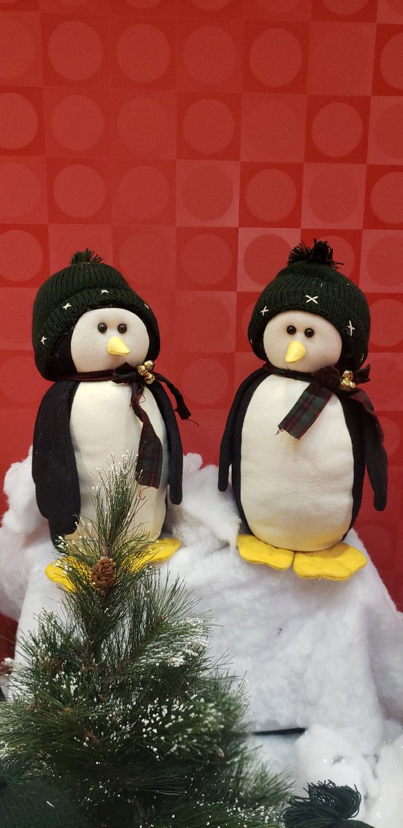TheStephMorgan's tweet photo. The penguins are out at @ECCFalconsNest on the Red hall, ready to celebrate the holidays with us! @ChannelviewISD #becvisd #inourhands #proud2becvisd https://t.co/RHfArQL3YZ
