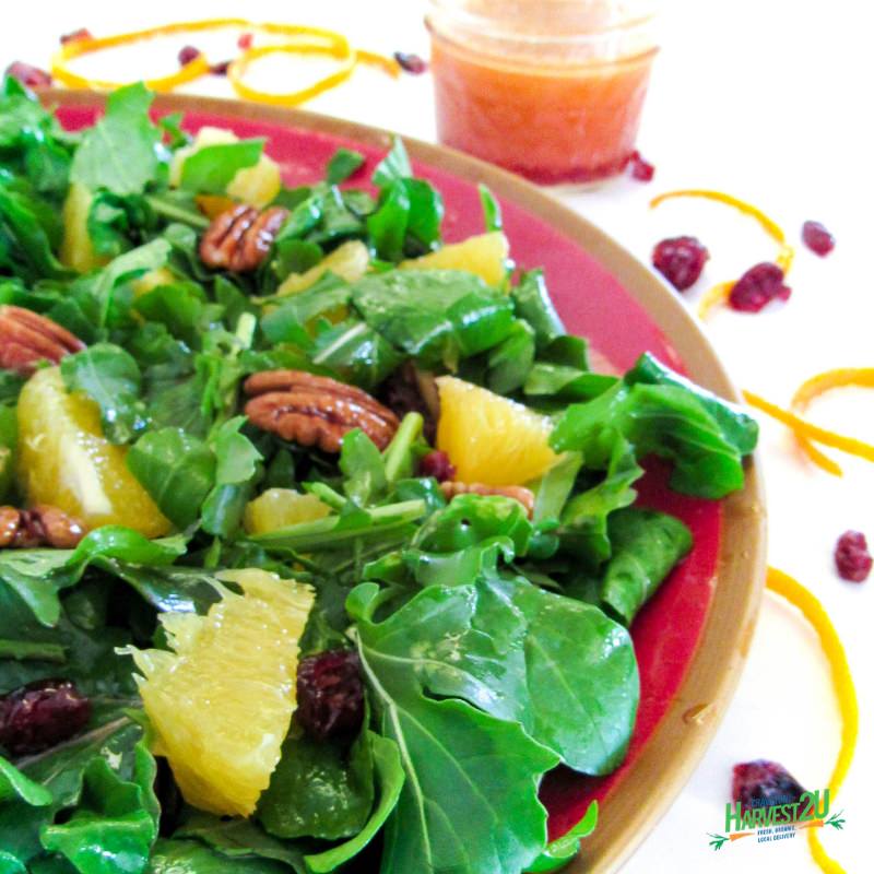 thatrecipe's tweet photo. This Orange Cranberry Salad is simple but bursting with flavor, especially with the Tea Infused Dressing. https://t.co/GYg9qeCQz6 #saladrecipe #homemadesaladdressing #cookingwithtea https://t.co/uU5tC9ezfP