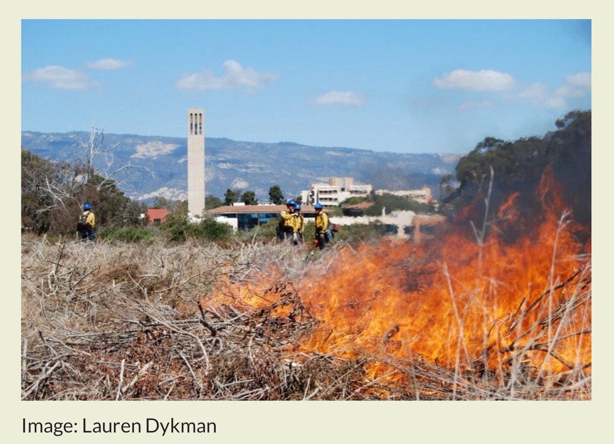 MIT_BIG's tweet photo. Check out this week's #BroaderImpacts blog by #MIT_WHOI joint program student Lauren Dykman! Read how disturbances from wildfires on land, to mining in the deep sea alter ecosystems and what it takes to recover. #scicomm #sciblog #oceanoutreach https://t.co/QuiQyf5MzT
