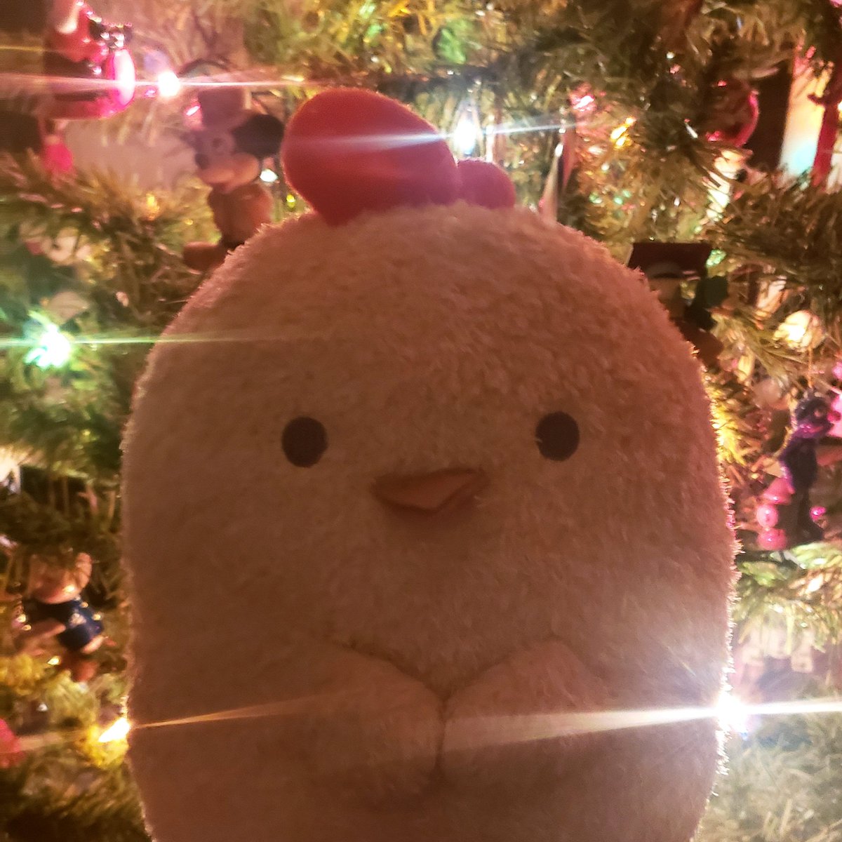 talkadoodledoo's tweet photo. Can Rascal The Talking Rooster save XMAS? https://t.co/0zd1i1gyX2