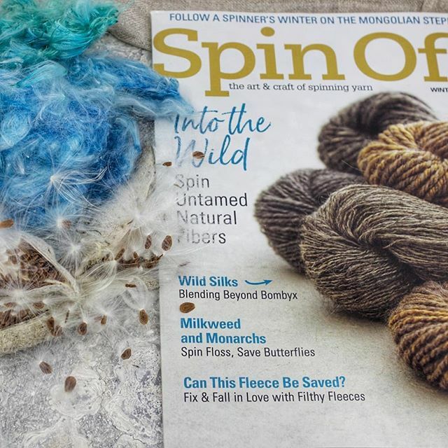 BuchananFiber's tweet photo. It's here!! If you wanted to learn more about spinning milkweed, this is the Spin-off issue to get. When I first started my fiber arts journey, I searched for any info on spinning milkweed, and lo and behold, there was an article in Spin-off from sometim… https://t.co/JtCWdrMEjA https://t.co/vsa8jacOrP