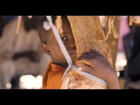 WBG_ClimateEnv's tweet photo. From #Niger to #Kiribati, see how @WBG_IDA helps the world's poorest countries adapt to climate change. #IDAworks

https://t.co/YghQMoaIej https://t.co/PeBmhDs2P6