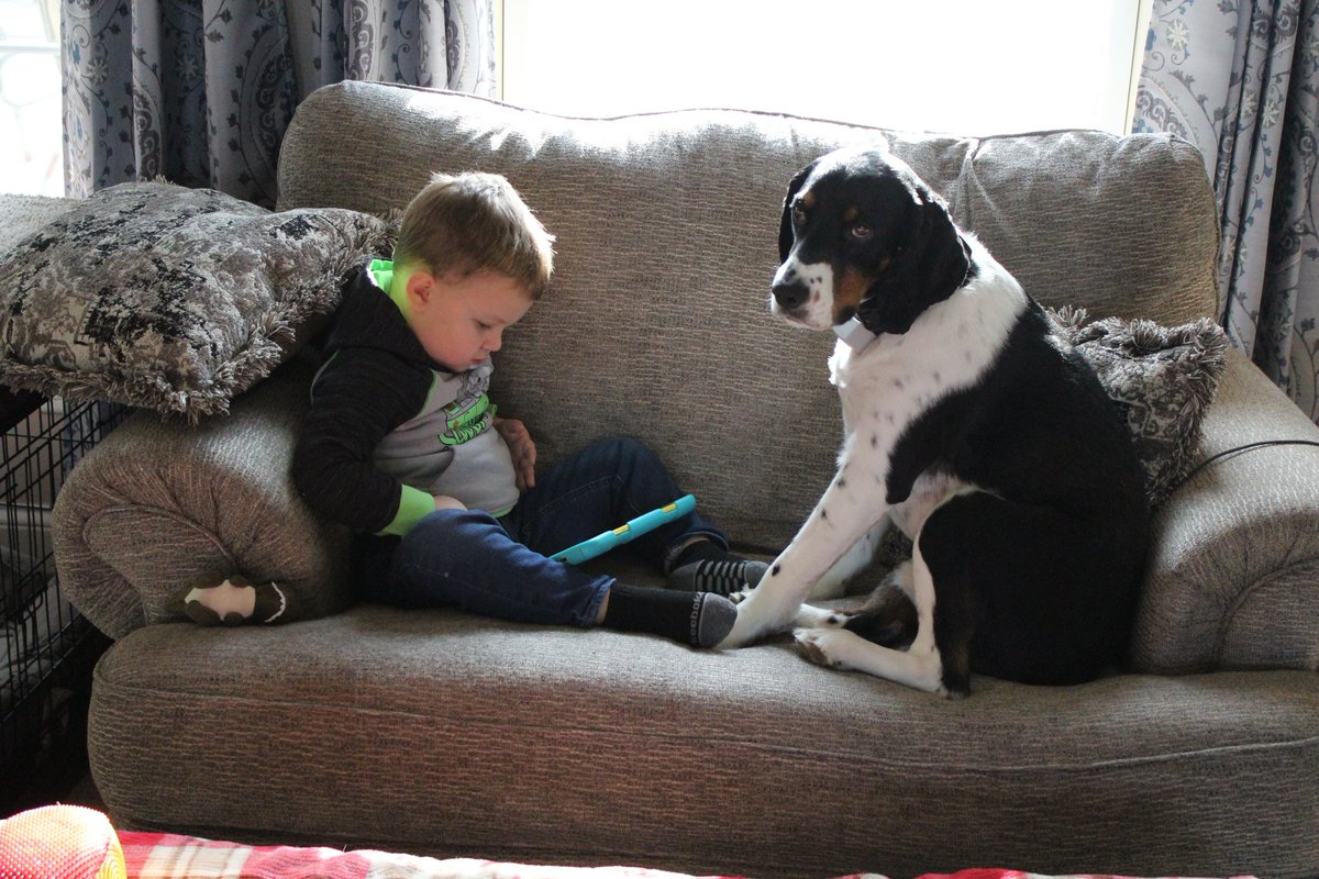 DoodleDexie's tweet photo. When your most favorite tiny human ignores you to play iPad. 💔 https://t.co/T0jaiKGUOO