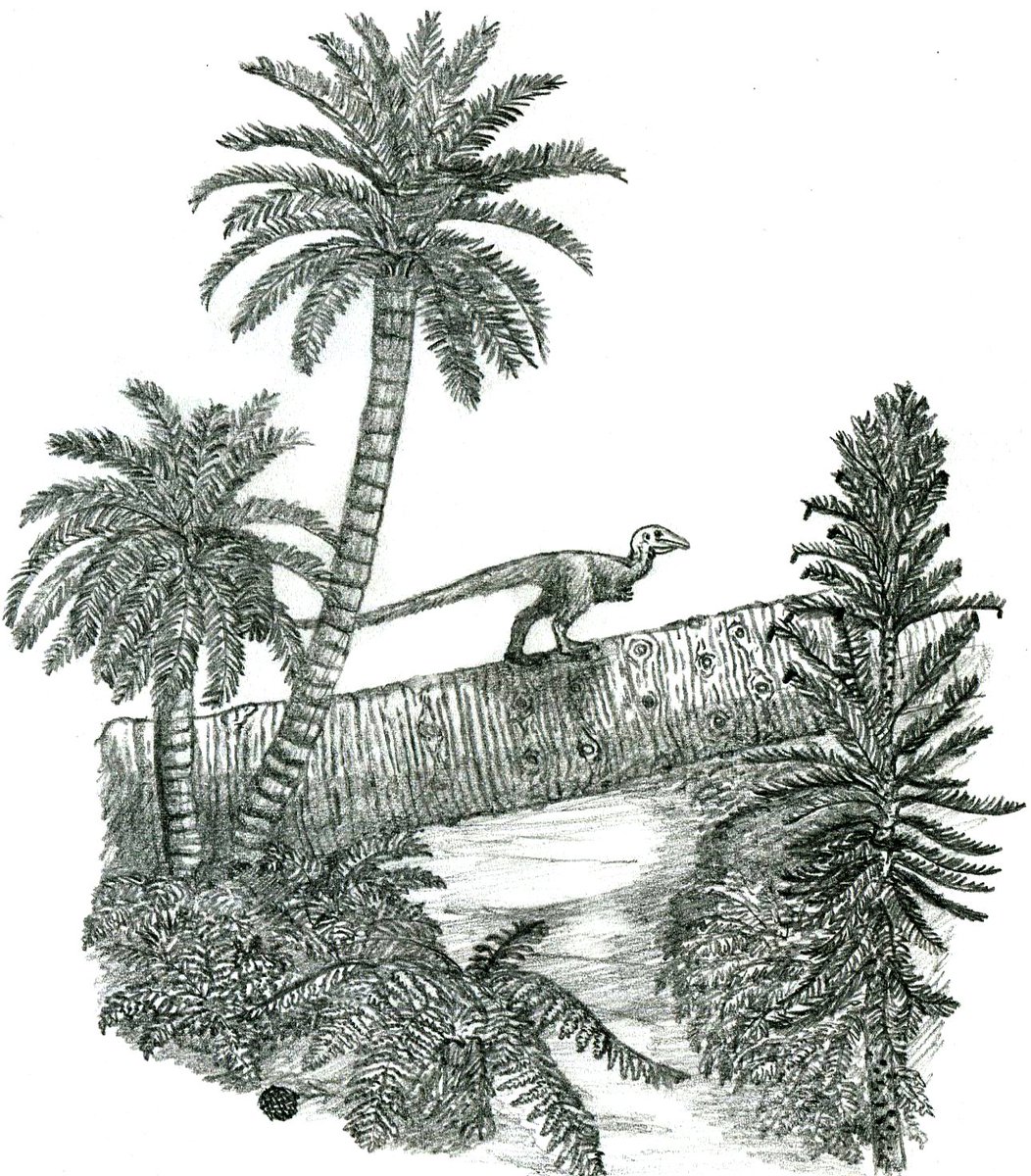 Tomozaurus's tweet photo. #Artof2019 #Dinocember 2019 was really the year of environment sketches for me. I only did 2 real traditional dinosaur reconstructions, neither shown here. https://t.co/YbMppxfy8l