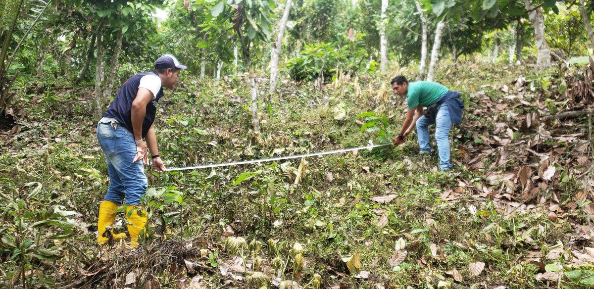 jarguellot's tweet photo. #ConLasBotasPuestas Técnico del Proyecto #AgroSeguro levanta Aviso de Siniestro a productor que sufrió afectación de sequía en plantación de cacao ubicada en Cantón Esmeraldas, Parroquia Majua, Recinto Tabuche Adentro. #MAG
#JuntoAlProductor
#ActivamosElAgro https://t.co/QI18s4EktX