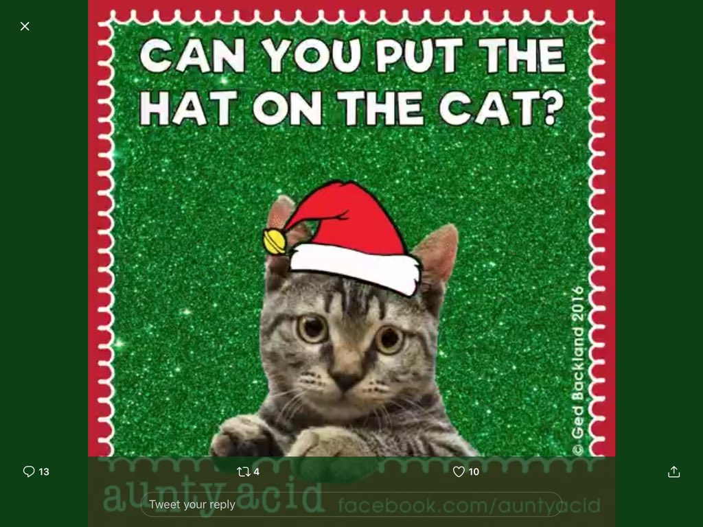 DebbySchade's tweet photo. @ItsFreeAtLast https://t.co/aSU9ZsG1LL