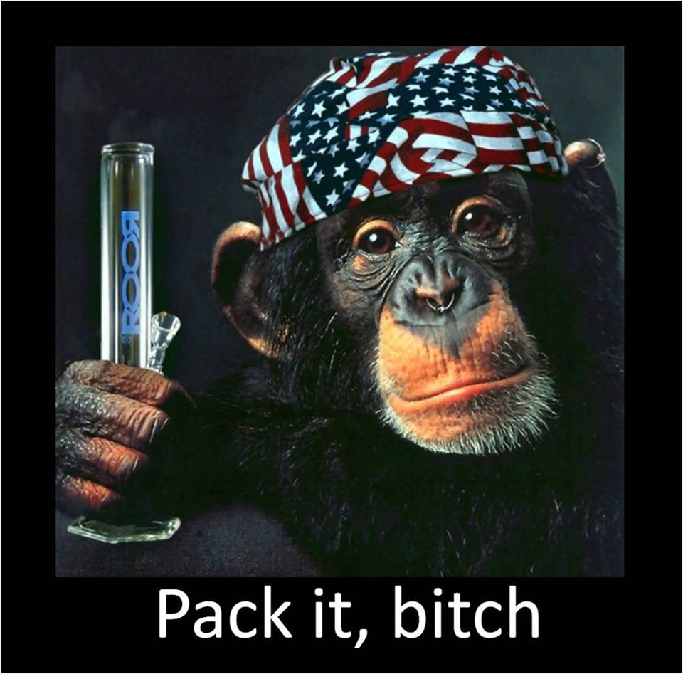 Waynnypot's tweet photo. Don't worry be High https://t.co/0VlZyhPTgZ