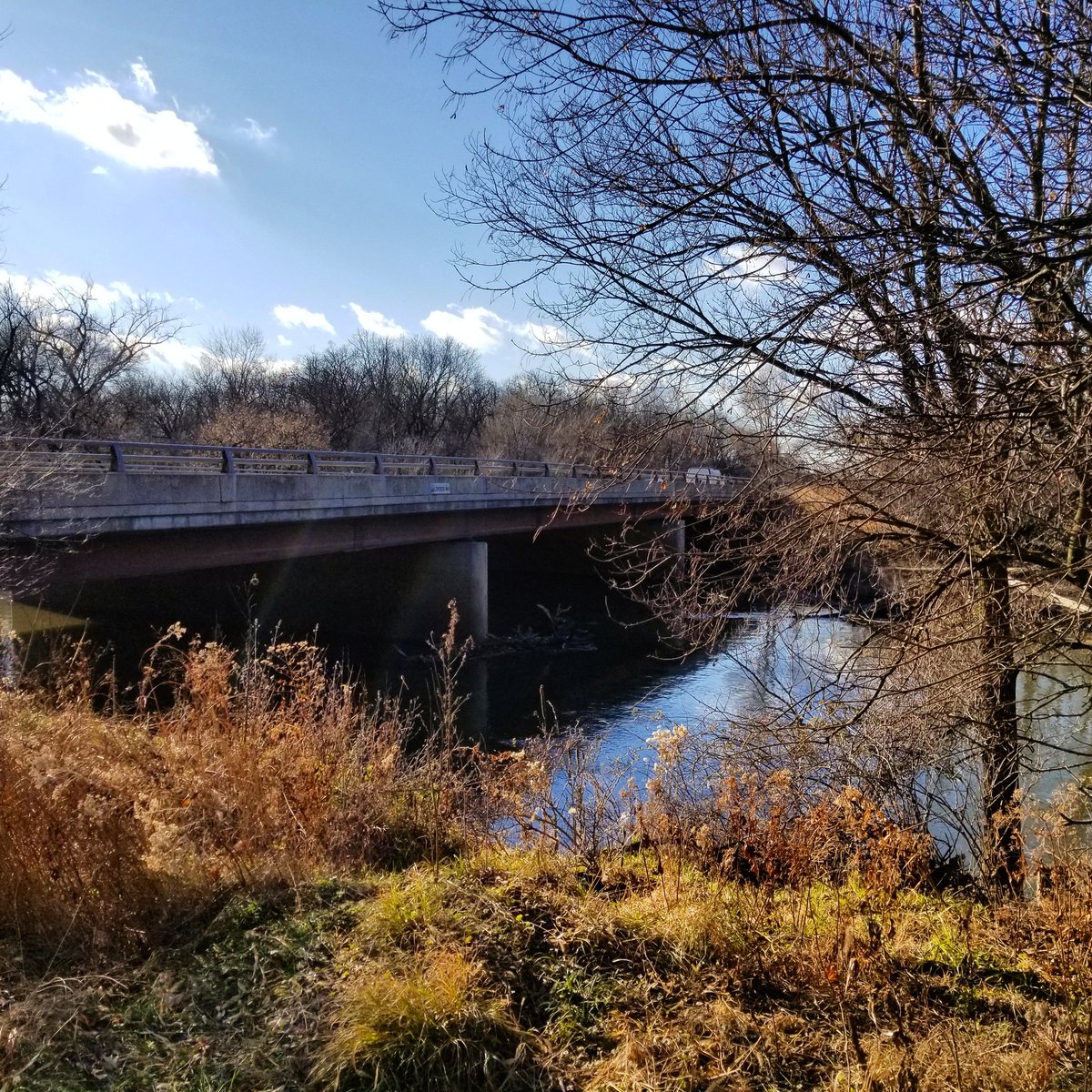 Chicago's Forest Preserve. 🦌🏃🐺🚶‍♀️🐿️🦉🌲🦆🌾🦢🍁🌬️🍂☮️❤️ #forestpreserve #NaturePhotography #Chicago #trees #River #bluesky #Cloud #hiking #Fall2019 #walking