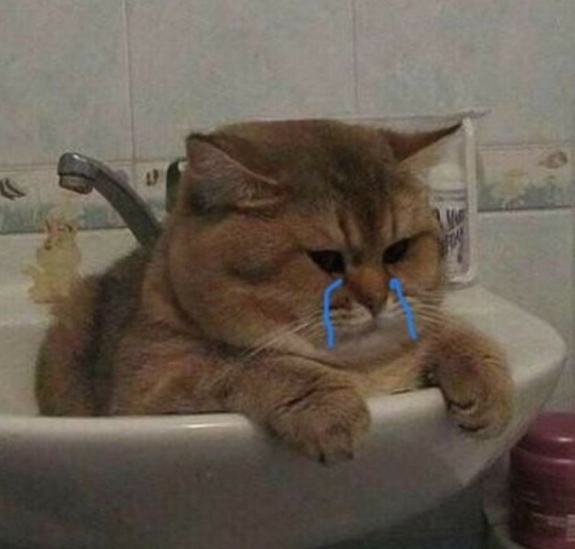 Is__Bel's tweet photo. Envie de sexe 15 fois par jours mais se faire baiser à moitié 1 jour par semaine 😶🔫
C'est la vie que j'ai choisie de mener 🎅🎅🎅 https://t.co/VrPlIOTSqx