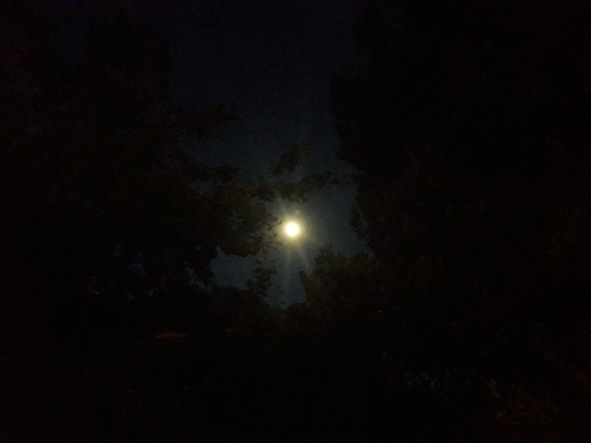 cielowhitty's tweet photo. Ahí estás entre penumbras... #Luna ♥️ https://t.co/EydmlMuLo2