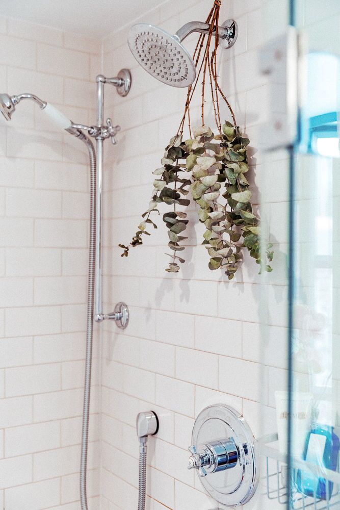 IntoTheGloss's tweet photo. Learn how to hang eucalyptus in your shower 🌿
https://t.co/Qgng4qBpvt https://t.co/iauzVggj6R