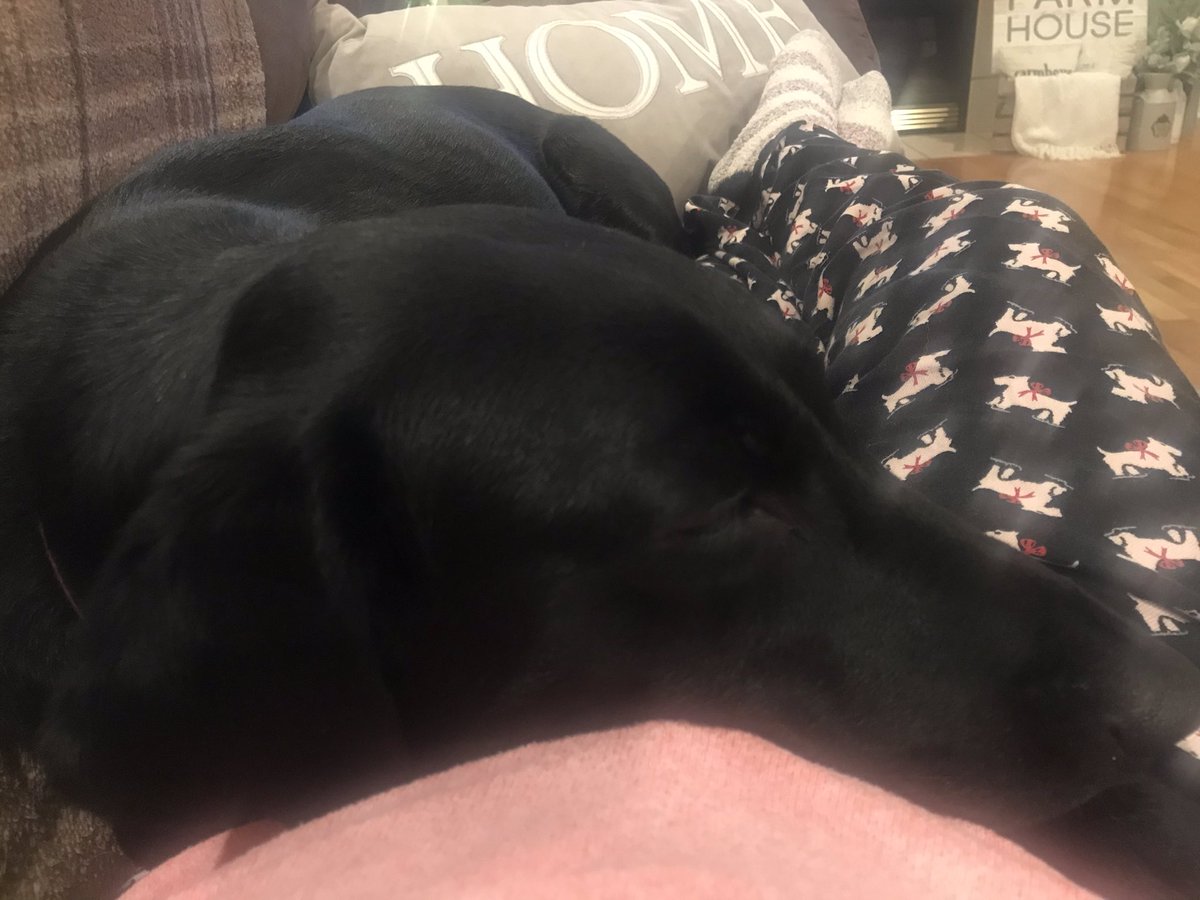 Eye4DetailStyle's tweet photo. Baby it’s cold outside ❄️ Cuddling getting ready for the snow #coldweathercuddles #puppylove #furbaby #christmas https://t.co/ymsBacR6C3