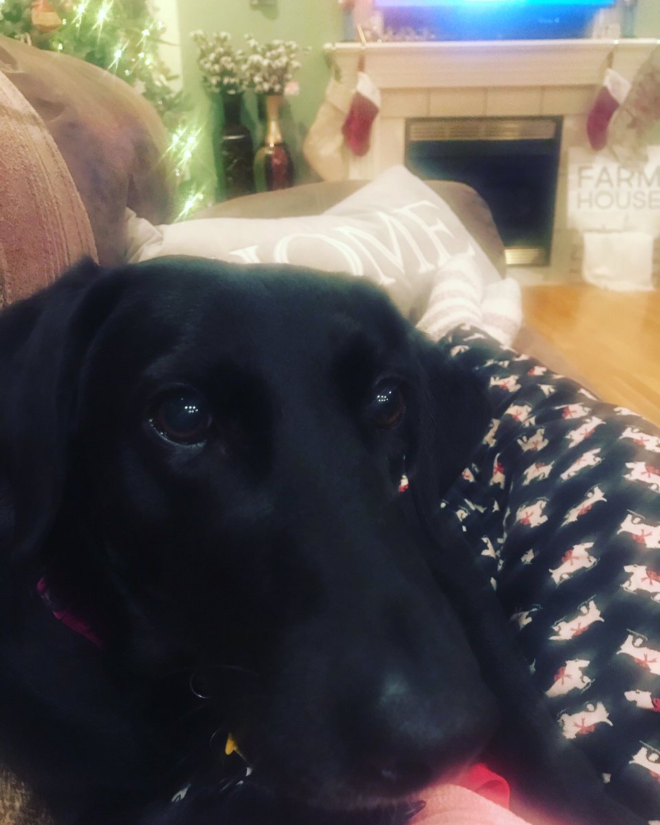 Eye4DetailStyle's tweet photo. Baby it’s cold outside ❄️ Cuddling getting ready for the snow #coldweathercuddles #puppylove #furbaby #christmas https://t.co/ymsBacR6C3