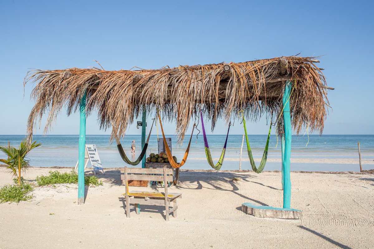 elholboxeno's tweet photo. Villas El Encanto cuenta con 5 cabañas de lujo en la playa donde pueden dormir hasta 6 personas. También cuentan con tiendas de glamping! https://t.co/Iz4mBM4CWo https://t.co/79Ww142KcH