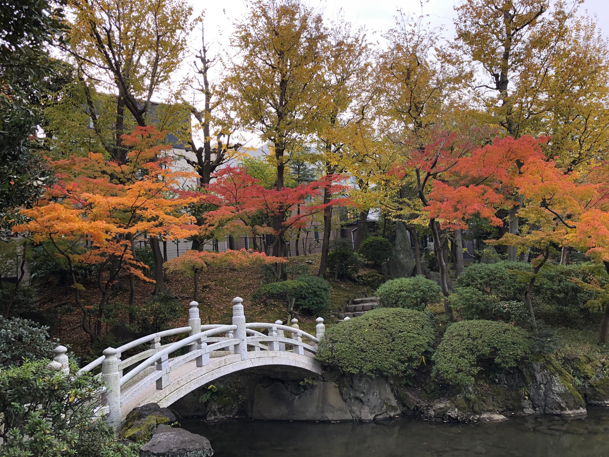墨田区危機管理 En Twitter 墨田区立旧安田庭園が紅葉の見ごろを迎えています 日本庭園で身近な自然を感じてみませんか ぜひ ご来園ください 所在地 墨田区横網一丁目12番1号 旧安田庭園 紅葉 T Co E524qudpca Twitter