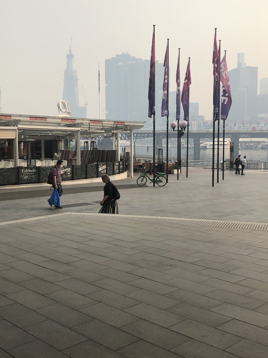 SallyBoult's tweet photo. Sydney air quality not so good today https://t.co/NWQLlqbNMq