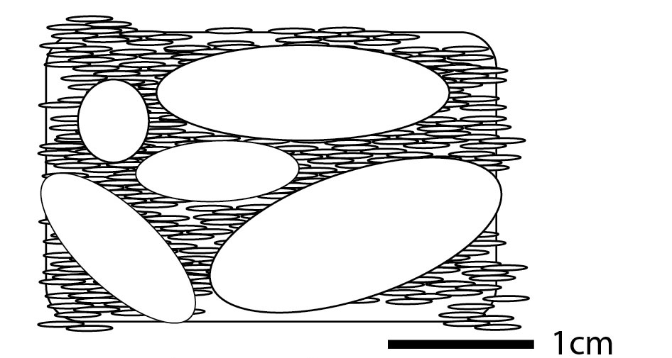 paleololigo's tweet photo. #UREES101 - Name that sedimentary environment:

Conglomerate with pebble-sized grains that are randomly oriented and supported in a clay matrix. https://t.co/NANuVNd0we