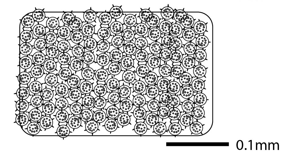 paleololigo's tweet photo. #UREES101 - Name that sedimentary environment:
Rock composed entirely of the skeletal remains of single celled organisms, specifically radiolarians. Does not react to acid. https://t.co/BW0K0xMF6w