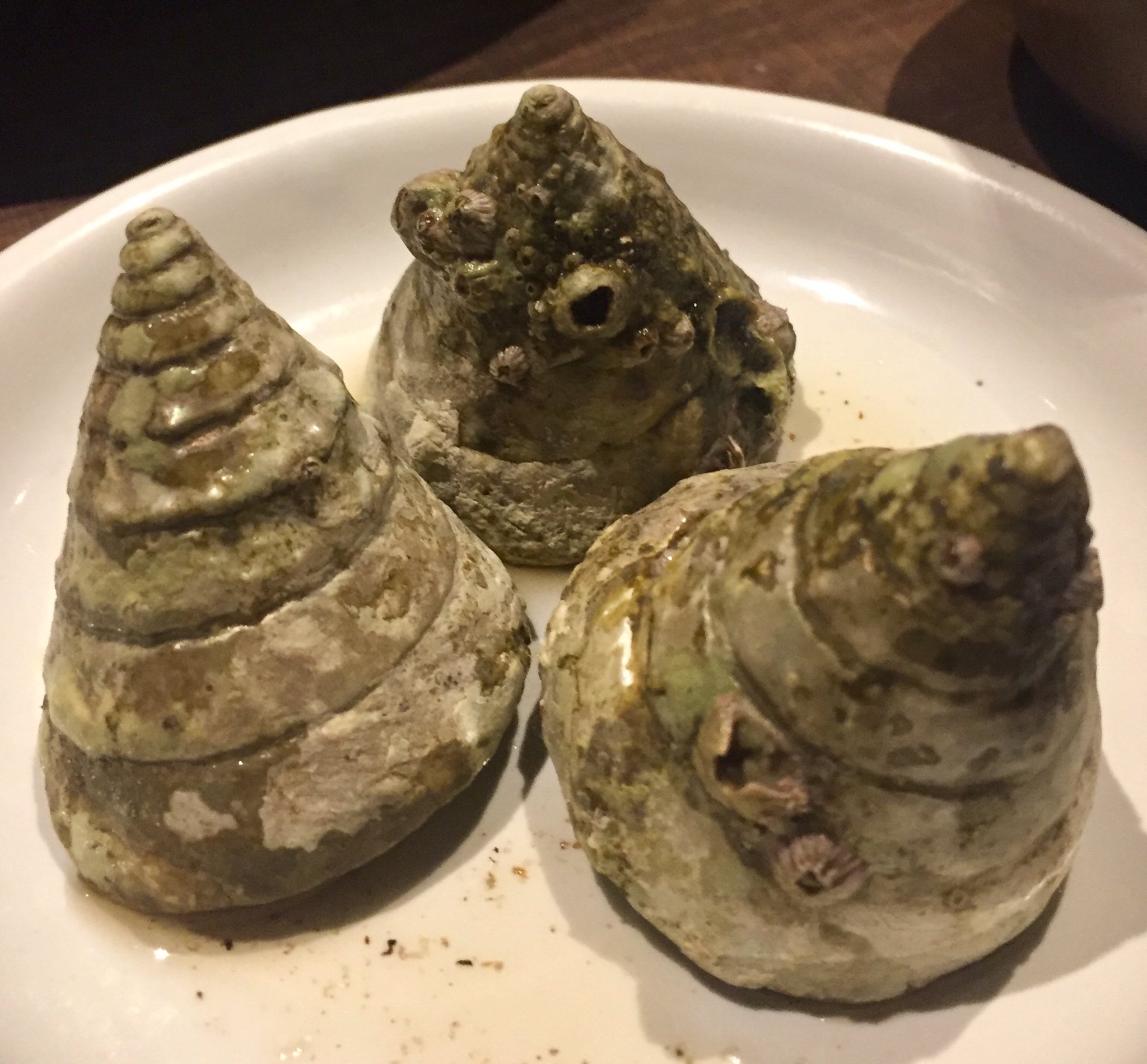 貝殻日和 北九州 黒崎の花楽karakuのメニュー ニイナ貝の旨煮 ギンタカハマ ニシキウズガイ科 が出てきました 黒崎花楽 ニイナ貝 貝殻日和 T Co 9askotdx9x Twitter