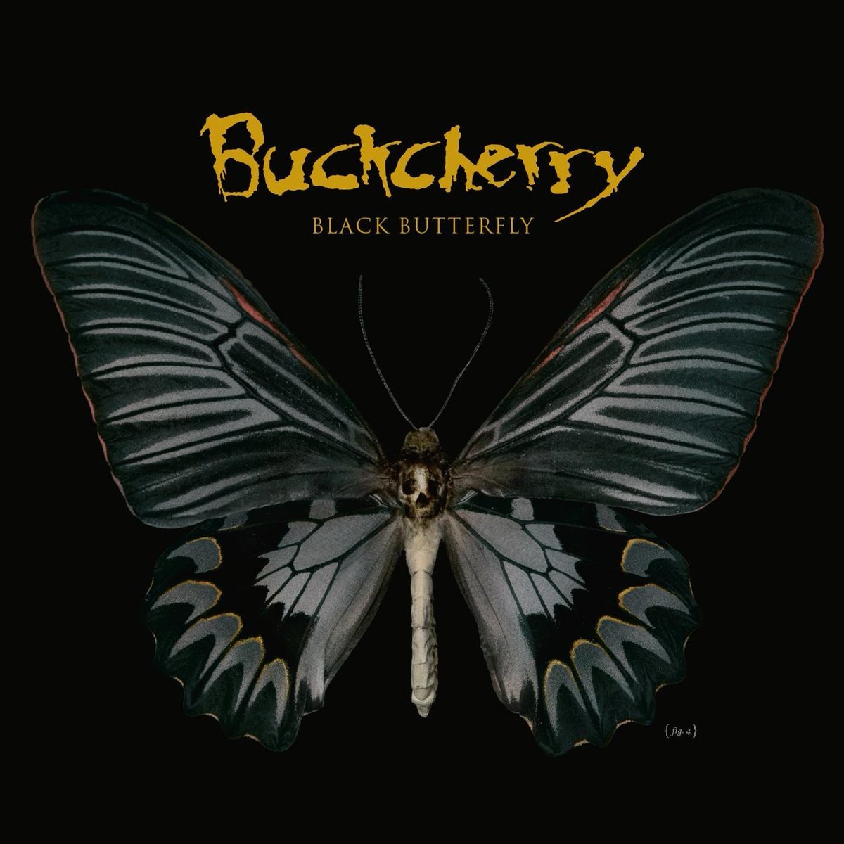 CarliCarabba's tweet photo. Lunes muy lunes pero menos lunes con los siguientes discazos para alegrar el corazón...
#Buckcherry - #BlackButterfly - 2008
#Aerosmith - #Pump - 1989
#ScaryPockets - #Colors - 2019
#BrassAgainst - Brass Against - 2018
#GreenDay - #AmericanIdiot - 2004
#RecomendandoDiscos https://t.co/JmYzRTLzsB