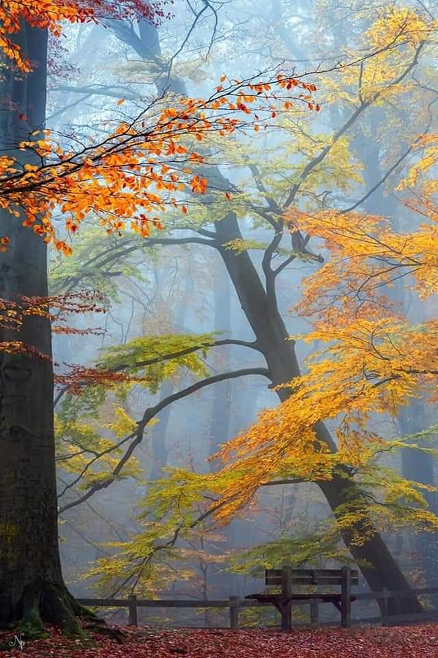 Tere (@trcas) on Twitter photo 