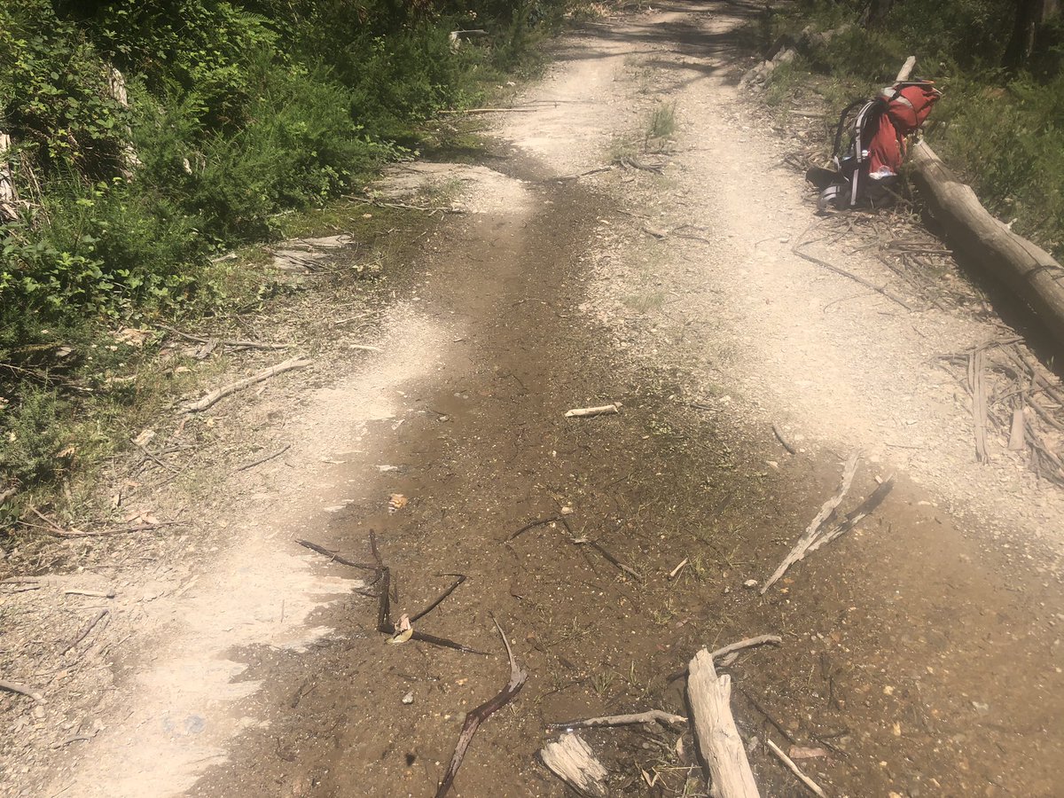 This is no ordinary puddle. Potholes on rough bush tracks are usually filled with muddy water. This one is crystal clear. That’s because it is fed by a trickle from a roadside moss soak. First water anywhere today. Fillin’ time!  #AAWT