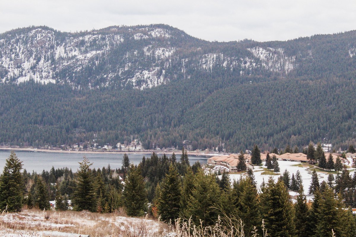You belong here! Come for a visit. Stay for a lifetime. Buy your own piece of property and build a #customhome in #SLE. Contact our sales office at 250-675-4937 or email sales@shuswaplakeestates.com for more info. bit.ly/2DrghrW