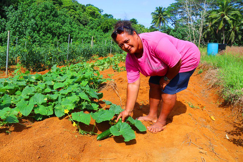 EBatamuliza's tweet photo. The Governance of #ClimateChangeFinancing seeks to strengthen the effectiveness of #ClimateChange prgs by making them more inclusive. We put a strong emphasis on ensuring that #GenderEquality & #povertyreduction issues are addressed.
@UNDPClimate
@UNDPasiapac
@APRC_CF https://t.co/9ImYE8yZGG