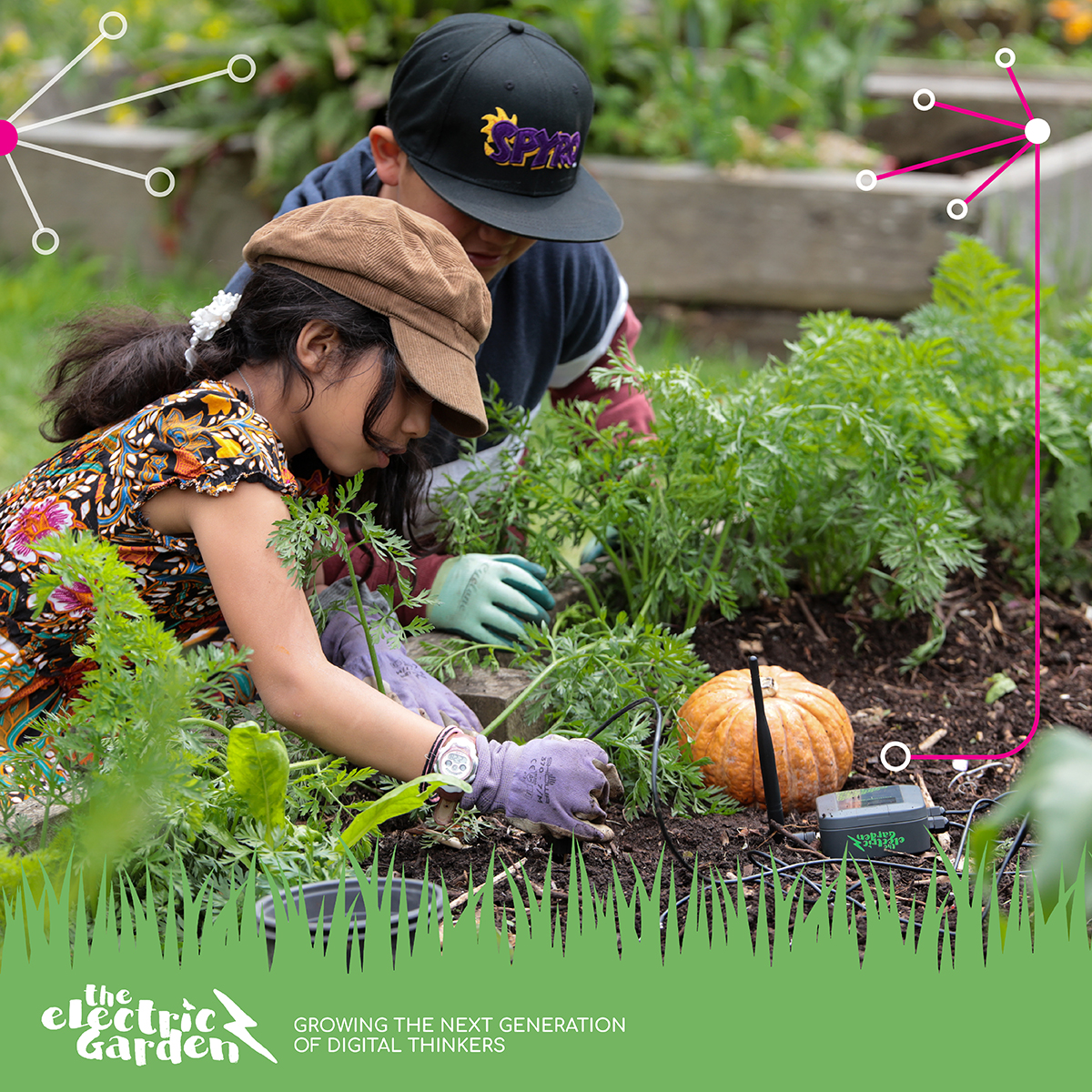 Spark Foundation tweet media