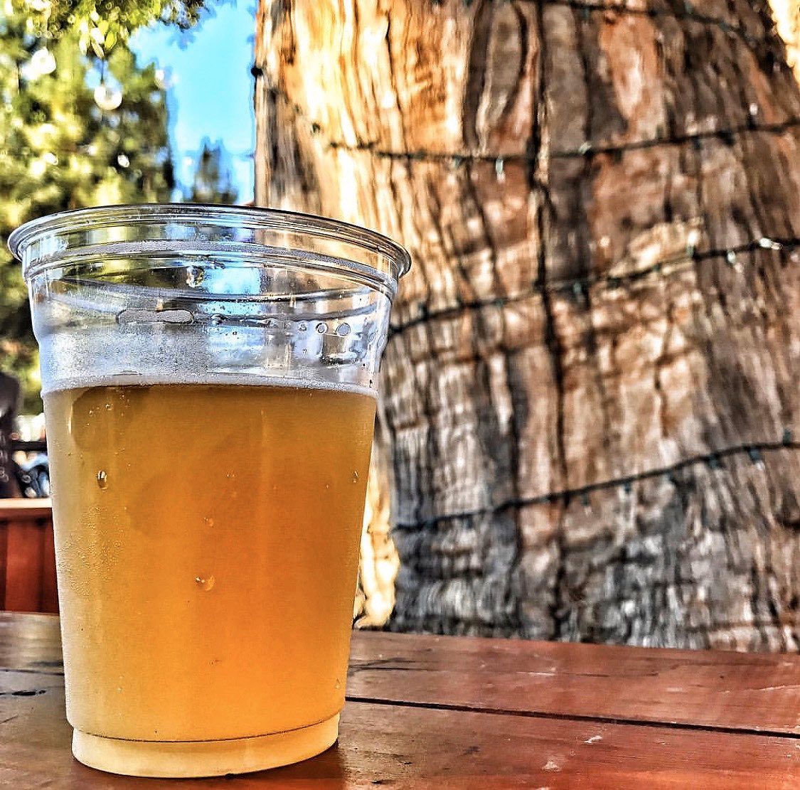 TheLomaClub's tweet photo. Never fear, we’ve got beer! 🍺⁣
⁣
Not all heroes wear capes. Some give you beer! Start your Monday on the right sip with $1 OFF draft beers until 7pm. See you soon! https://t.co/NgGjSDMhLX