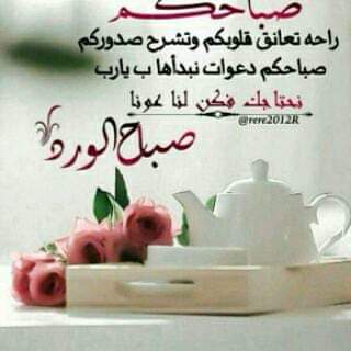 AlkamriAli's tweet photo. https://t.co/jvptfSuZuS