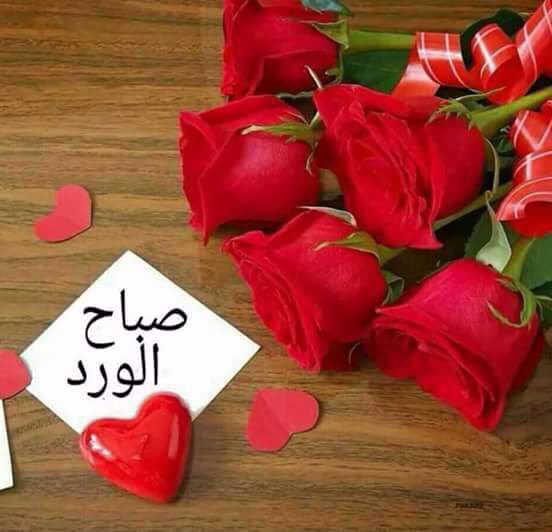 adelmoto's tweet photo. إشـــراقة_الصبـاح
اسأل الله أن يتوج صباحي وصباحكم بقلوب مبتهجة وهموم منفرجة وسعاده غامرة وصحه عامرة، واعمال صالحة ودعوات مقبوله
صباحكم ورد https://t.co/GXTrGmu6OZ