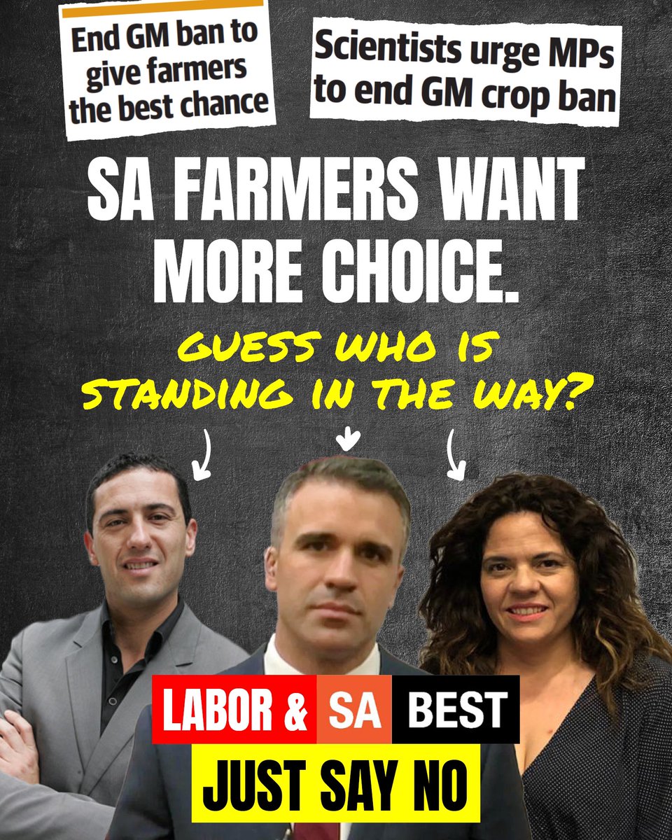 SA Liberal Media tweet media