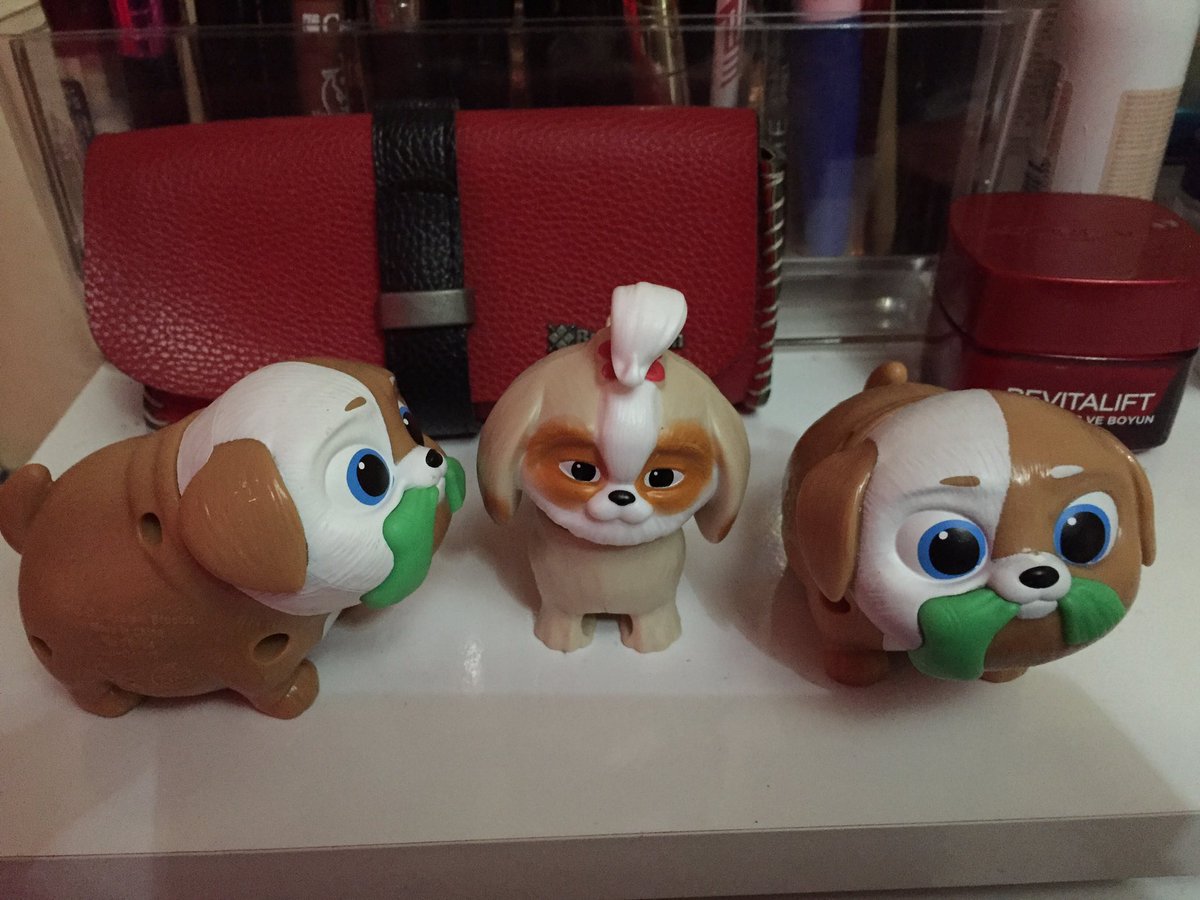 Annemin oğlusu abişime ne olur bir köpek alalım demiştim..  Beni kırmamış sağolsun  😂  0 masraf yemez içmez konuşmaz altına etmez veteriner yüzü görmez dedi ekonomi şartlarına uygunmuş.. 😀