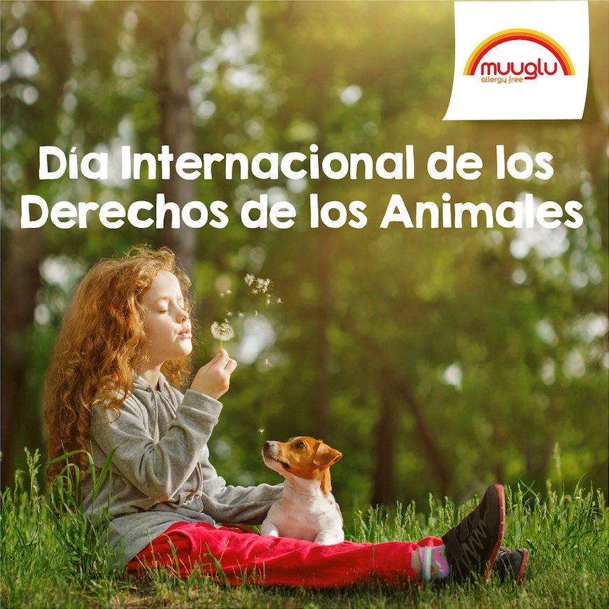 muuglu's tweet photo. Un país, una civilización se puede juzgar por la forma en que trata a sus animales (Mahatma Gandhi) Hoy se celebra el Día Internacional de los Derechos Humanos y de los Derechos de los Animales. Un día para concienciar sobre el respeto hacia todos los seres vivos. https://t.co/7USJWzUjdG