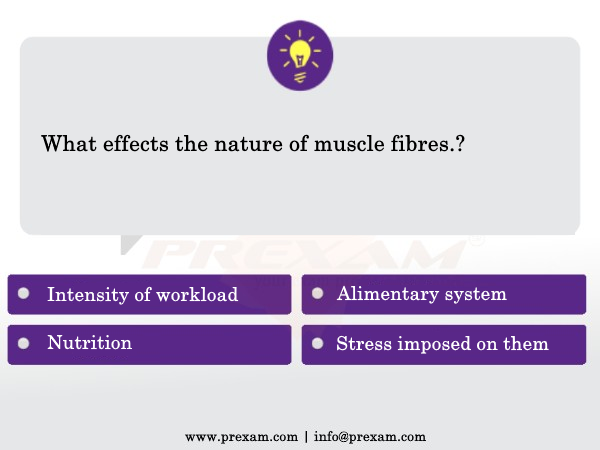 prexam's tweet photo. Question of the day....

Follow this page for unique content and improve your knowledge factory.

visit us on:-
https://t.co/93E2FQE3pC

#logicalreasoningquestions #NDA #NDAexam #nad2020 #ndaimpquestions #Nda2019 #prexam #question #questionandanswer #reasoningquestions https://t.co/AOSiWhI1an