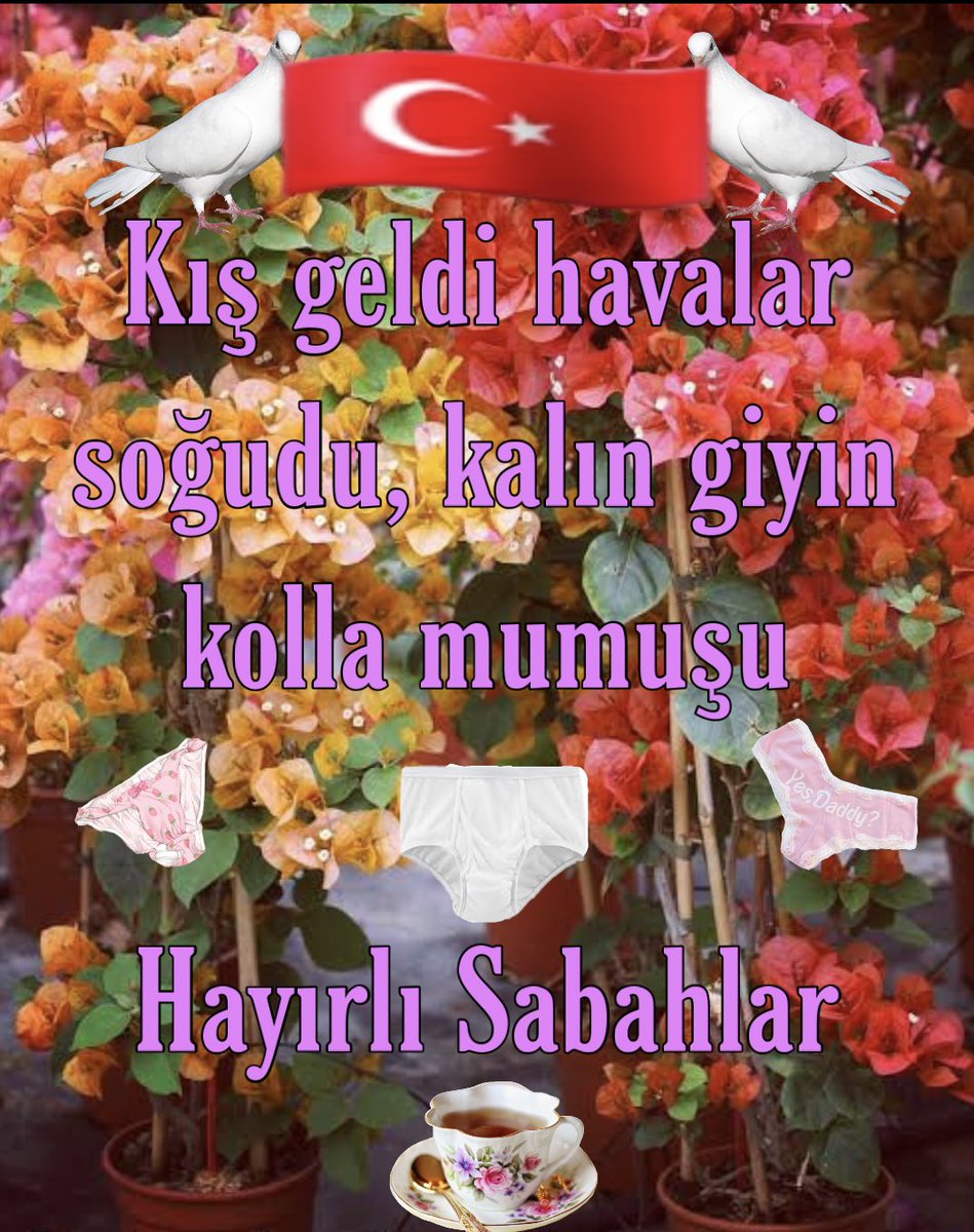 ceren cerengil (@aborjinyildi) on Twitter photo 