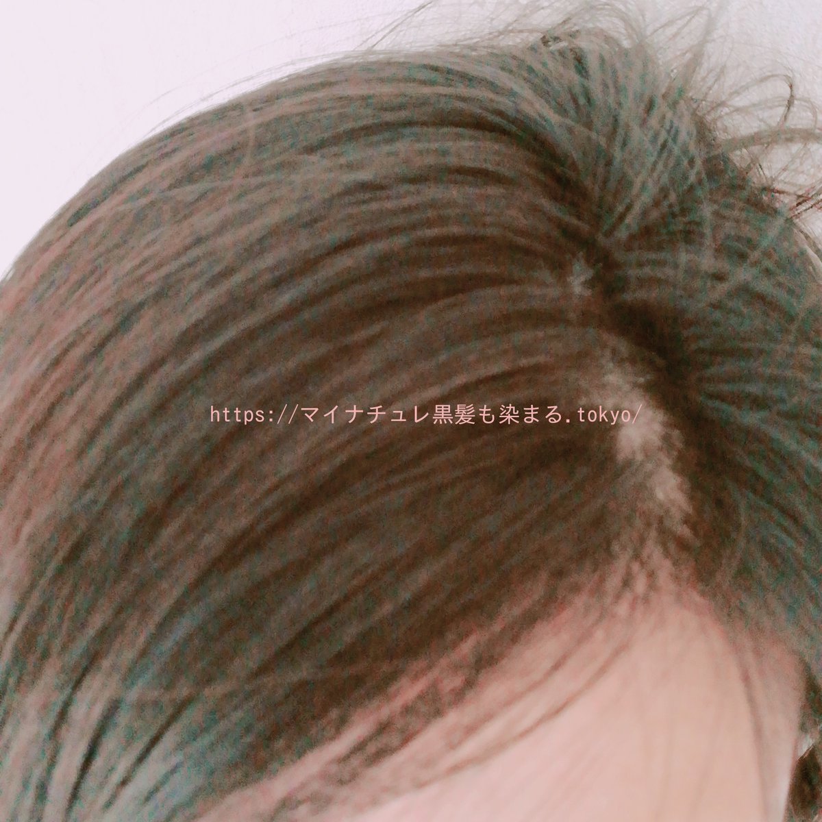 黒髪も染まる 黒髪も染まる
