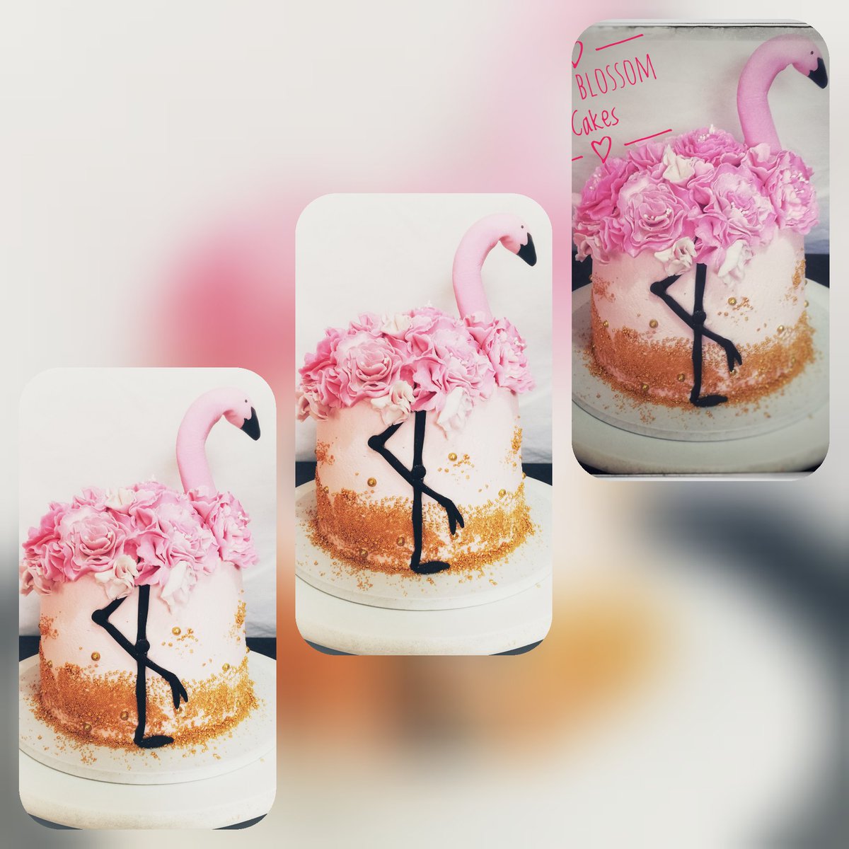 Lynette Smith (@lynette77772740) on Twitter photo 