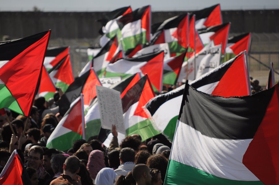 GazaFFlotilla's tweet photo. On #HumanRightsDay2019 organisations from around the world demand Ms Bensouda #ICC prosecutor opens an official &amp; full-scale investigation into the ‘situation in #Palestine’ without further delay. Joint letter being delivered to the @IntlCrimCourt today !
https://t.co/26rwxfSAWG https://t.co/4tCUkObTw5
